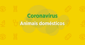 Animais domésticos