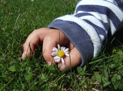 Alfabetização ecológica e a importância da relação entre criança e natureza