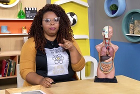 Planetário do Rio e corpo humano são temas de Ciências em Rioeduca na TV 