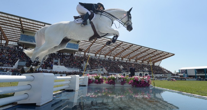 esportes equestres, hipismo, hipismo, cavalo com jóquei saltando