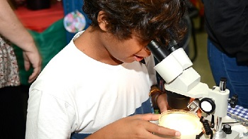 bncc ciencias menino microscopio