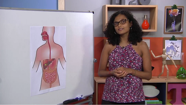 Videocaptura. Professora Isabela Gonçalves no estúdio da MultiRio em gravação de videoaula. Ela é uma professora negra, com cabelos encaracolados, pretos, na altura dos ombros e veste uma blusa florida em diferentes tons de rosa e roxo. Ela olha direto para a câmera com um sorriso e está parada ao lado de um quadro branco com uma imagem do esquema do sistema digestório.