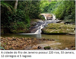 florestatijuca rio
