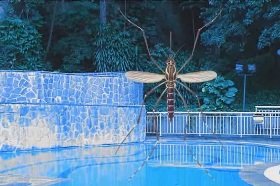 Campanha Aedes Sanitarista