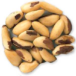 sis castanha