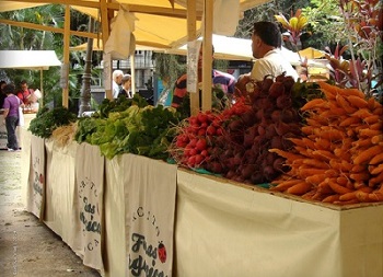 segurança alimentar feiraorganica2